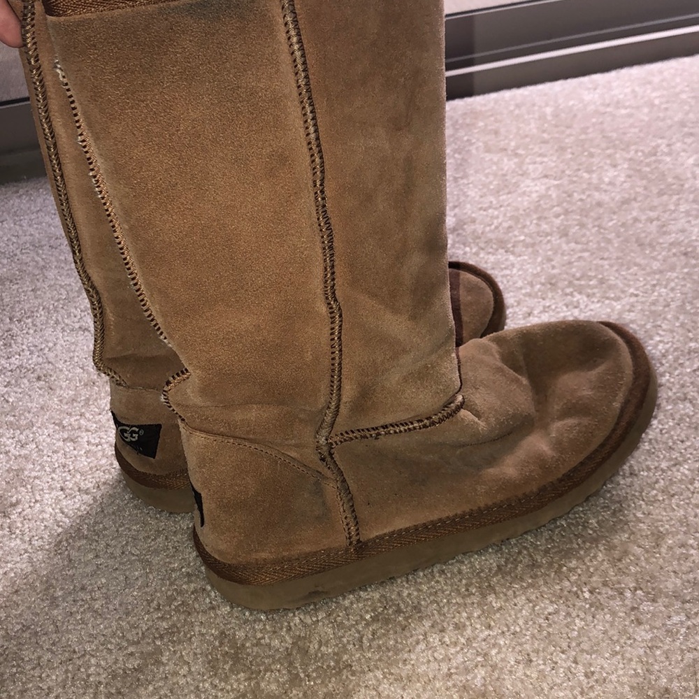 Used classic tall. Chestnut color